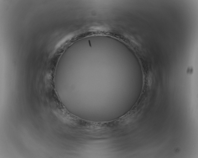 X0000110991254200906191419