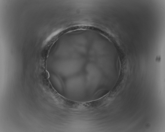 X0000110991255200906191419