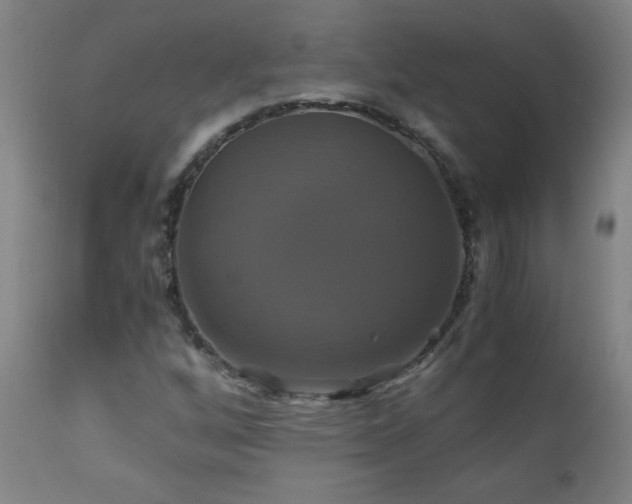 X0000110991256200906191419