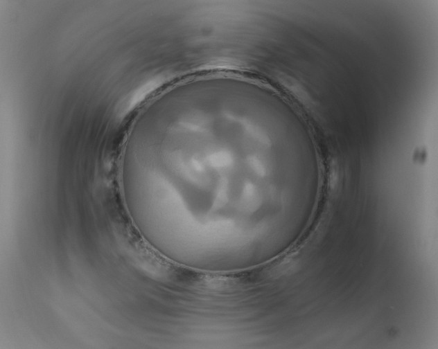 X0000110991258200906191419