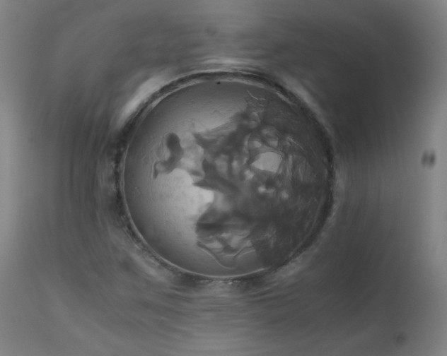 X0000110991259200906191419