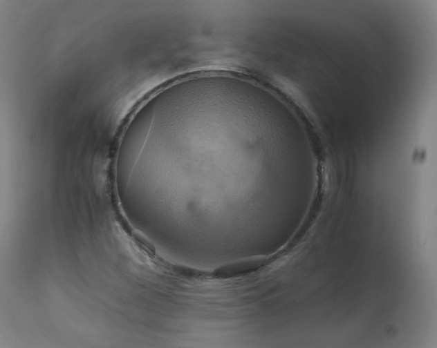 X0000110991260200906191419