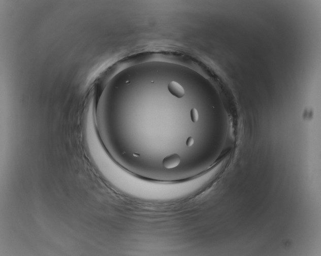 X0000110991261200906191419