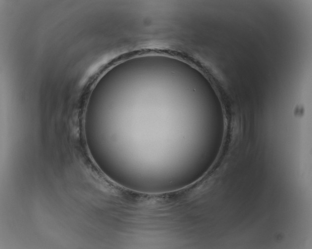 X0000110991262200906191419