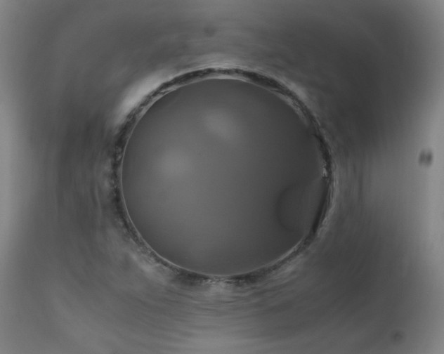 X0000110991263200906191419