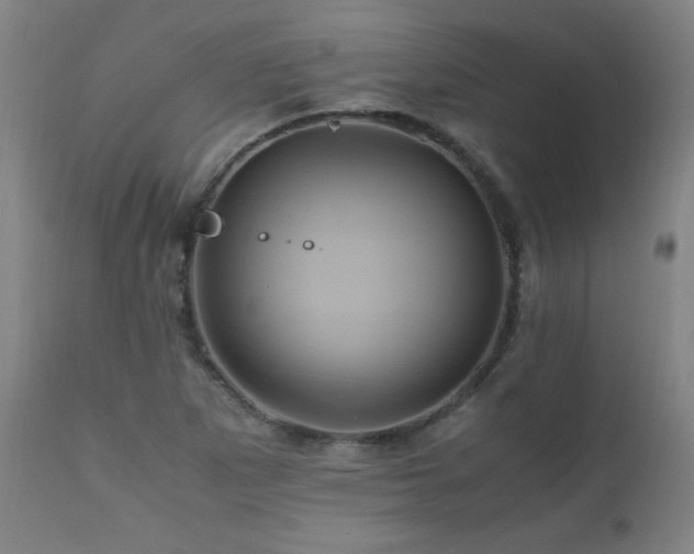 X0000110991265200906191418