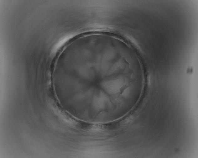X0000110991267200906191418