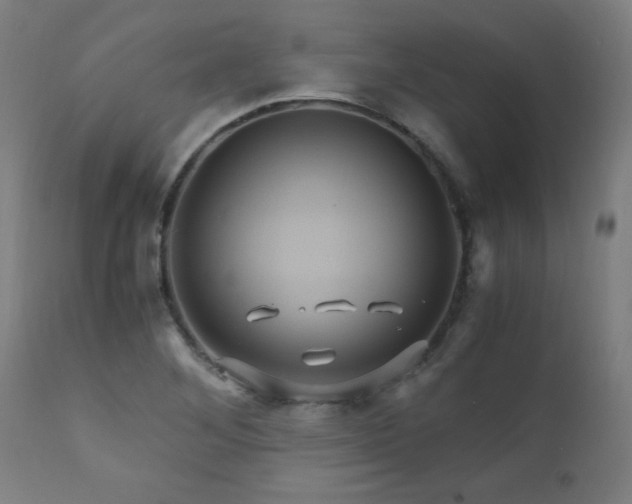 X0000110991268200906191418
