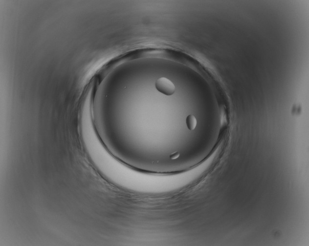X0000110991269200906191418