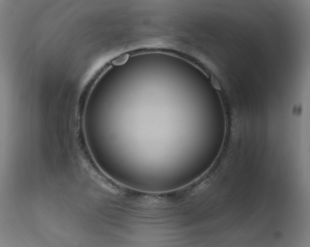 X0000110991270200906191418