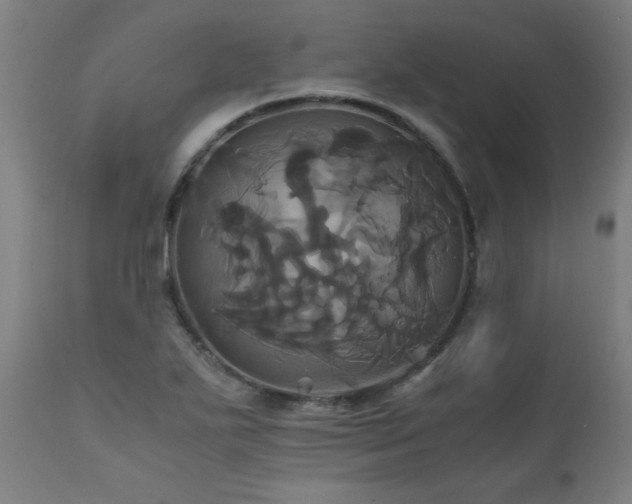 X0000110991271200906191418