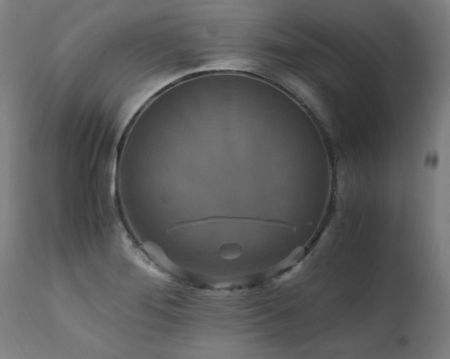 X0000110991276200906191418