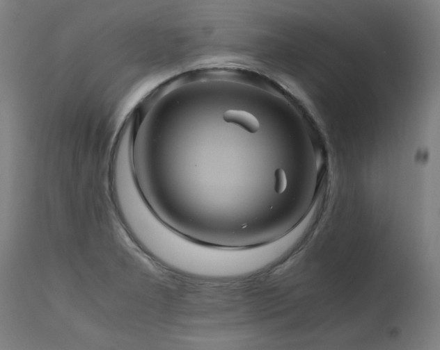 X0000110991277200906191418