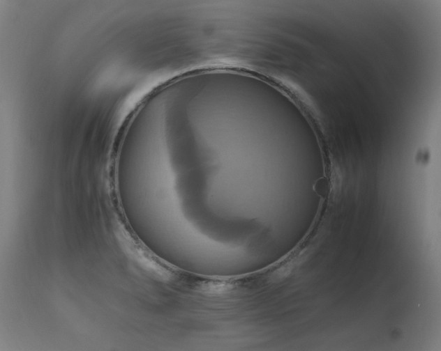 X0000110991278200906191418