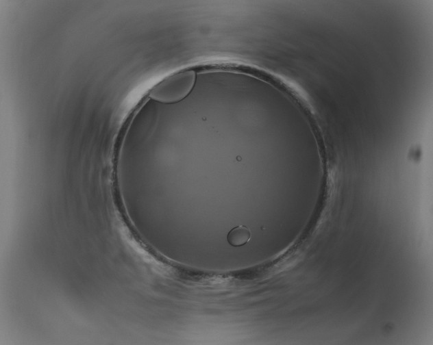 X0000110991279200906191418