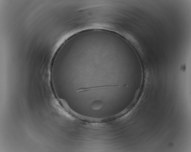 X0000110991280200906191418