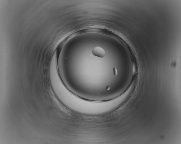 X0000110991281200906191418