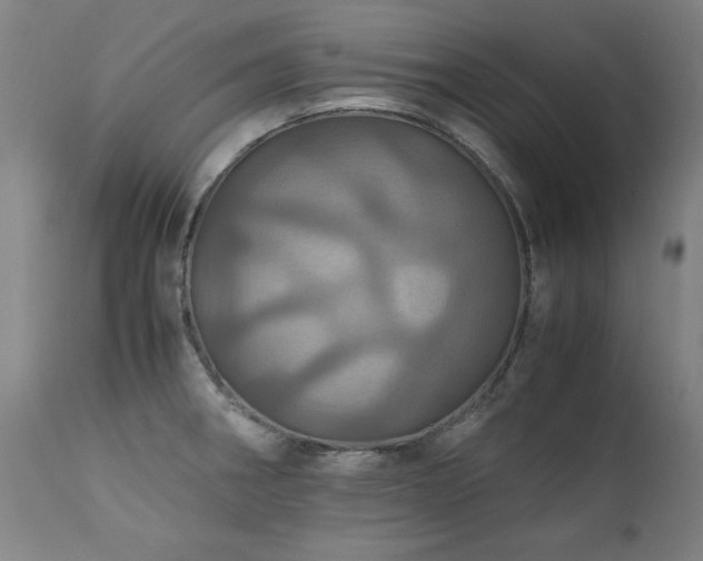 X0000110991282200906191418