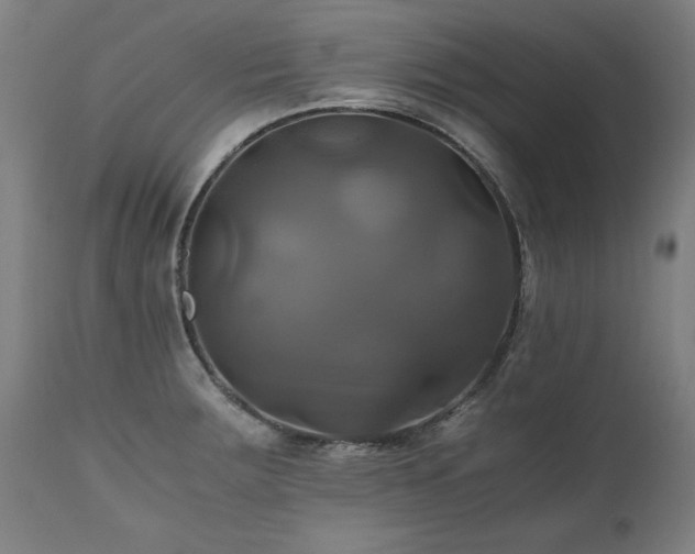 X0000110991283200906191418