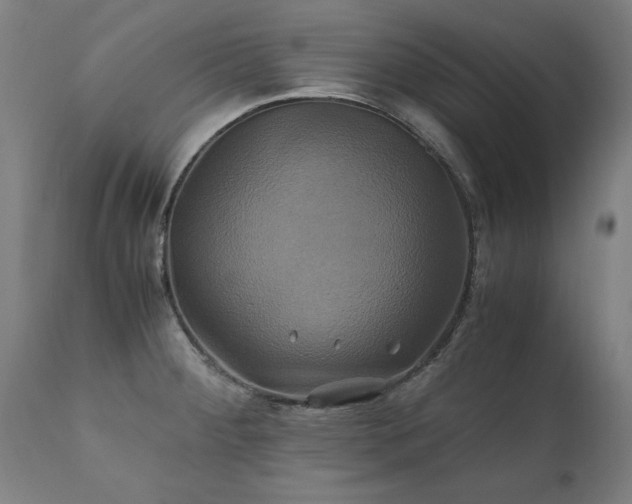 X0000110991284200906191418