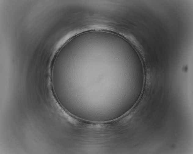 X0000110991286200906191418