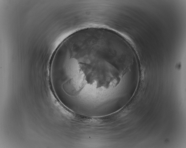 X0000110991287200906191418