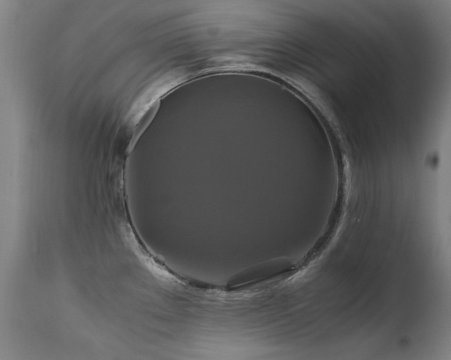 X0000110991289200906191418