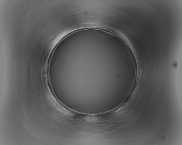 X0000110991291200906191418