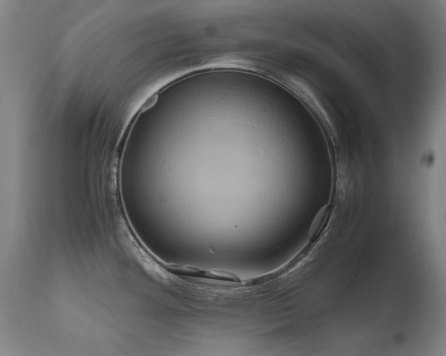 X0000110991292200906191418
