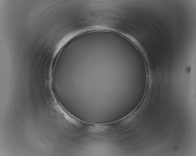 X0000110991294200906191418