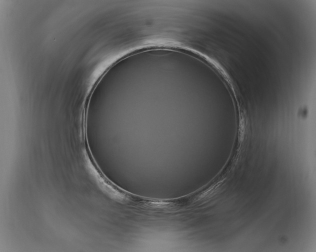 X0000110991295200906191418