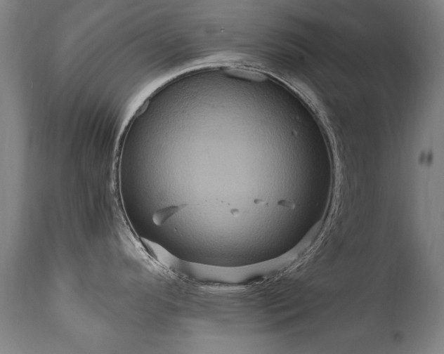 X0000110991296200906191418