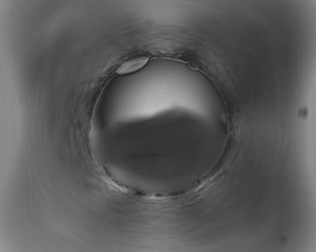 X0000110991297200906191417