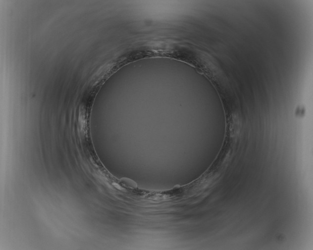 X0000110991298200906191417