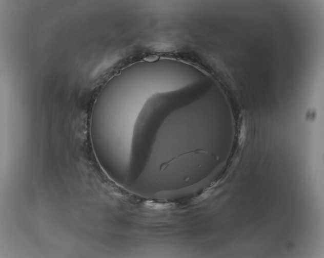 X0000110991301200906191417