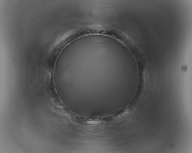 X0000110991302200906191417