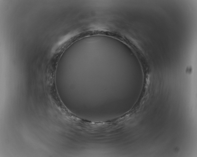 X0000110991303200906191417