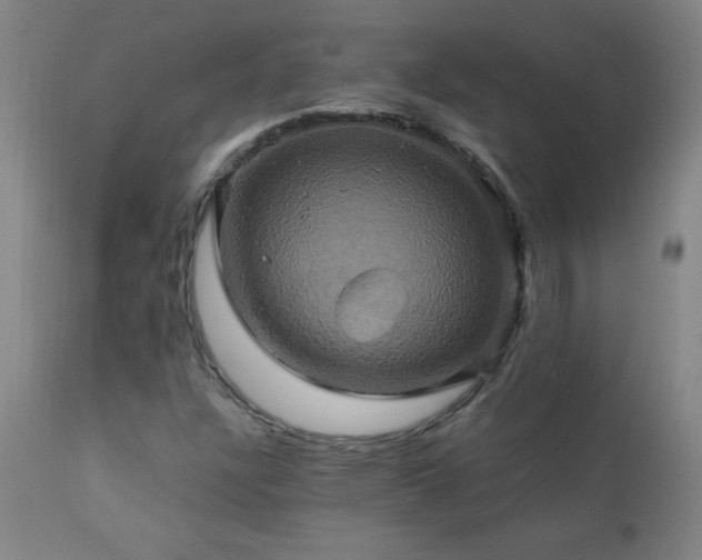 X0000110991304200906191417