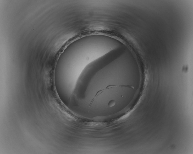 X0000110991305200906191418