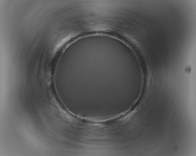 X0000110991306200906191418