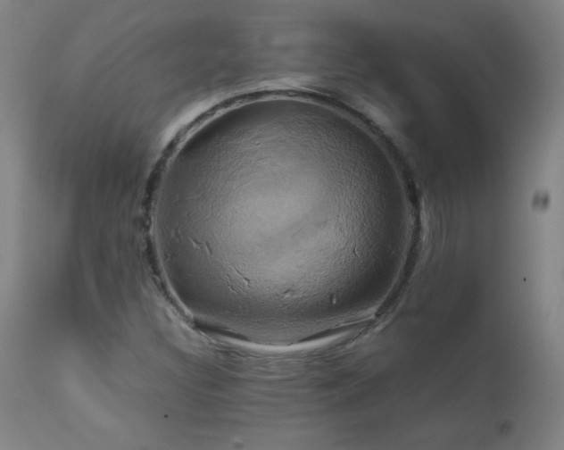 X0000110991308200906191418