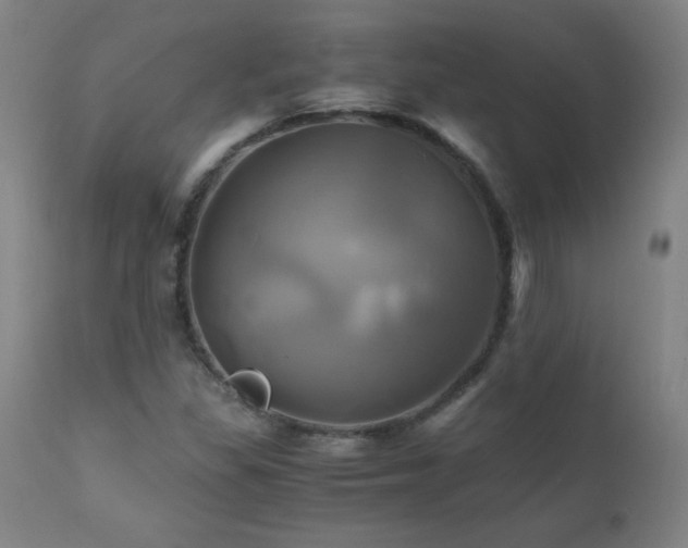 X0000110991309200906191418