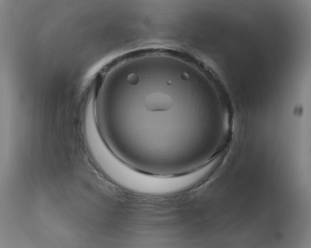 X0000110991310200906191418