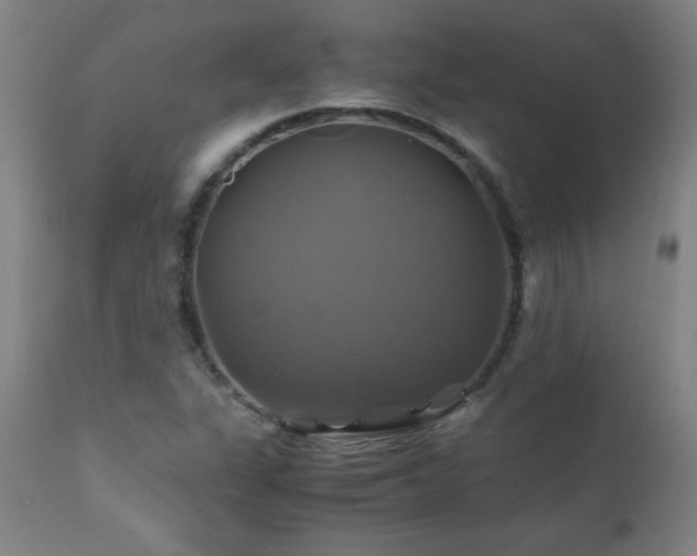 X0000110991311200906191418