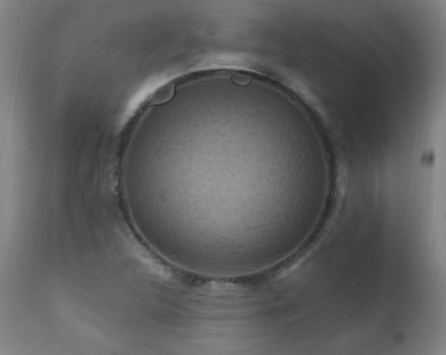 X0000110991312200906191418