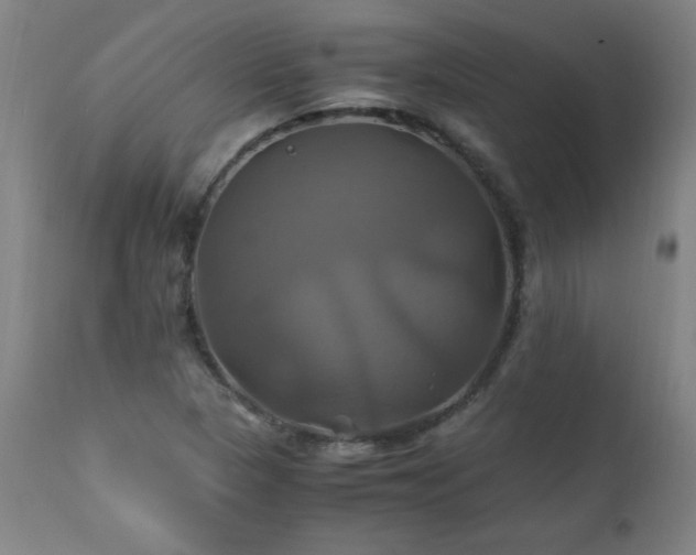 X0000110991313200906191418