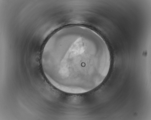 X0000110991314200906191418