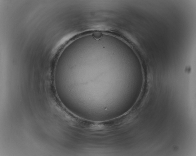 X0000110991315200906191418