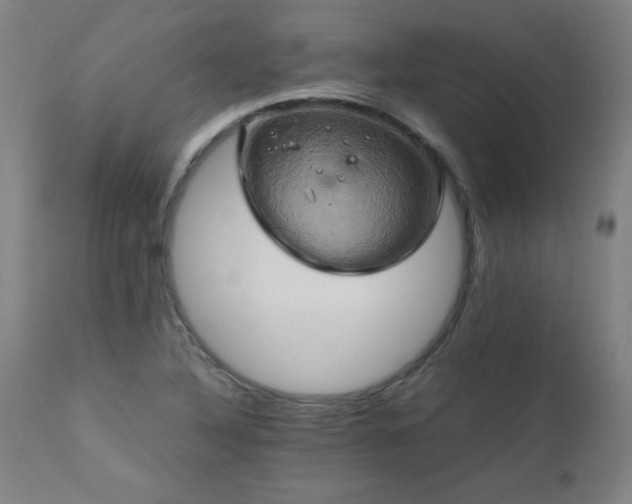 X0000110991316200906191418