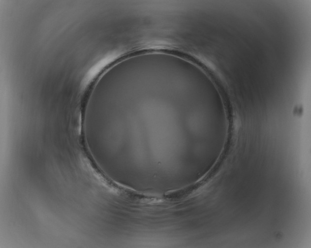 X0000110991317200906191418